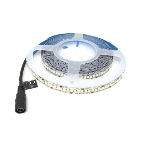 STRISCIA 1200 LED LUCE BIANCA BOBINA STRIP 5 METRI 2835 SMD